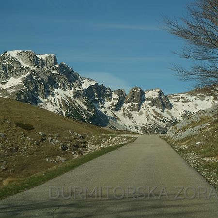 Durmitorska Zora Villa Žabljak Екстериор снимка